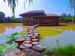 -西安浐灞国家湿地公园