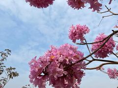 -上楼私房菜(院士路店)