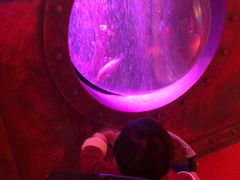 -沈阳海洋探索中心