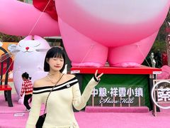-中粮·祥云小镇