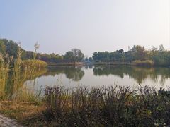 -永定河休闲森林公园