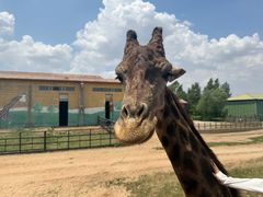 -鄂尔多斯野生动物园