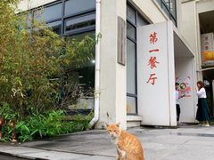 -上海海事大学(临港校区)