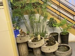 -蘇河湾·新鲁菜·泰山宴老店
