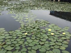 -新木器时代餐厅(太湖新天地店)