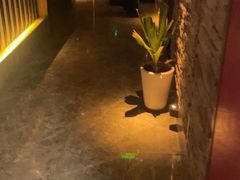 -臻享养生·SPA·影院式足道(汇臻店)