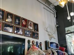 -猫大福·Fortune Cat猫舍(百子湾店)