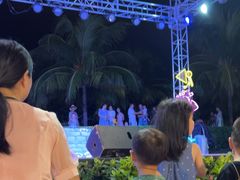 -渔家火锅·海鲜自助餐·演艺(亚龙湾天域酒店)