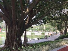 -广西大学(大学东路校区)