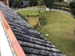 -广悦华阳朔河畔度假酒店(十里画廊遇龙河店)