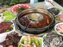 蹄筋-枇杷园食为鲜火锅(南山店)