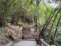 -广州白江湖森林公园