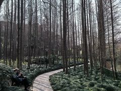 -黄兴公园