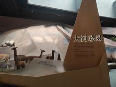 -长江文明馆