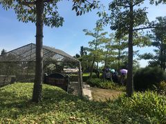 -大嶝英雄三岛战地观光园