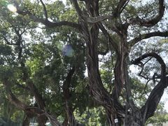 -黄埔军校旧址纪念馆
