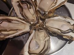 -蚝堡海鲜·威海菜·海肠捞饭·烧烤·亚洲吃蚝公司(幸福门店)