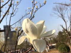 -西海子公园