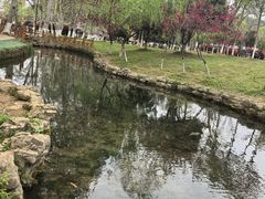 -青龙山国家森林公园