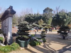 -水绘园