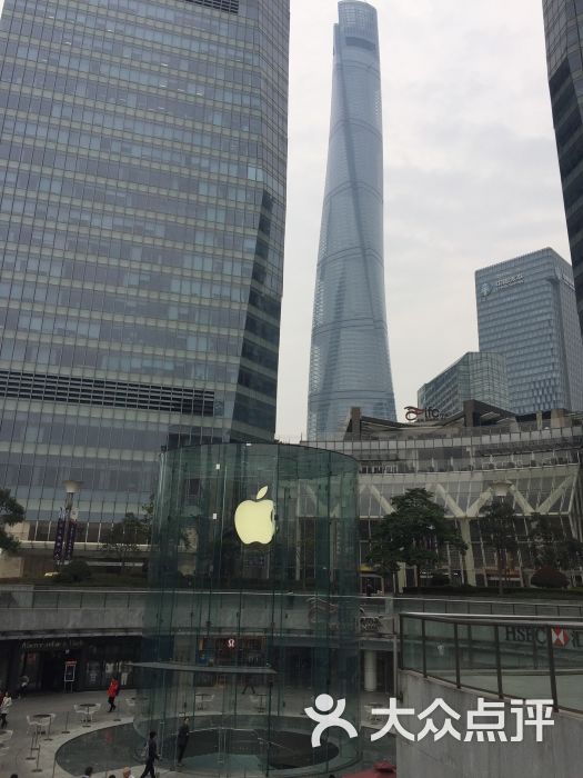 apple store(浦东国金中心商场店-图片-上海购物-大众点评网