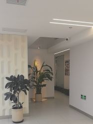 -魔型社烫染店
