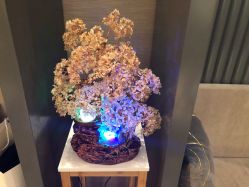 -栖SPA·ONDA ·海菲秀·皑皑科技美肤中心