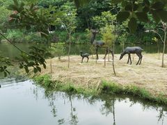-丹樱生态园