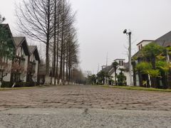 -太阳岛度假酒店