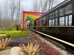 -合肥滨湖国家森林公园