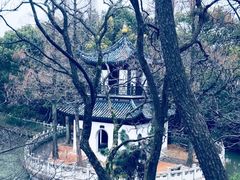 -汇龙潭