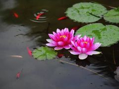 -圆明园停车场