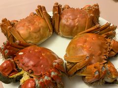 -王宝和酒家(黄浦店)