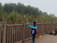 -洪泽湖古堰景区