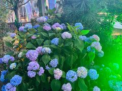 -汤记传菜(秀浦路店)