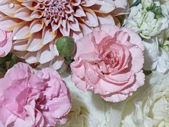 -两河城市森林公园