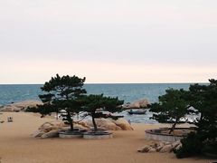 -北戴河东海水浴场