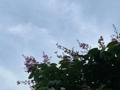 -晓港公园