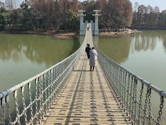 -东湖落雁景区