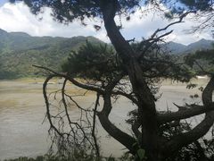 -羚羊峡古栈道森林公园