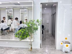 大厅-THE LOG SALON 记录