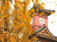-四川大学(望江校区)