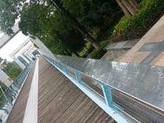 -东莞植物园