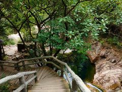 -天门沟九州驿站树上汤泉