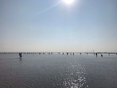 -南汇新城海滩