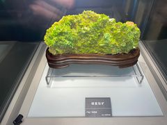 -安徽省地质博物馆