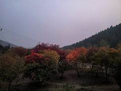 -北京十三陵国家森林公园蟒山景区