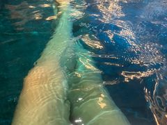 -青水瓦台汤泉(未央店)