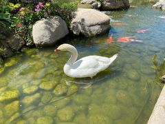 -罗红摄影艺术馆