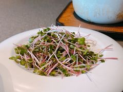 -竹里馆 ·茶食(奥体店)